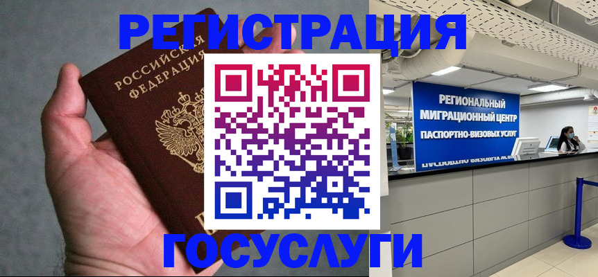 прописка поиск в Светлогорске